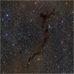 Astronomy Picture of the Day: Barnard 150: Seahorse in Cepheus