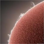 Astronomy Picture of the Day: Active Prominences on a Quiet Sun