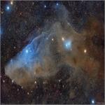 Astronomy Picture of the Day: IC 4592: The Blue Horsehead Reflection Nebula