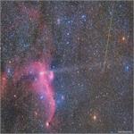 Astronomy Picture of the Day: Meteor, Comet, and Seagull (Nebula)