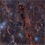 تصویر نجومی روز ناسا: سحابی های تاریک در امتداد صورت فلکی گاو