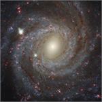 Astronomy Picture of the Day: Facing NGC 3344