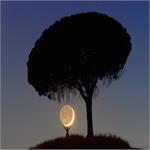 Astronomy Picture of the Day : I Brought You the Moon