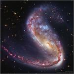 کهکشان NGC 2442 در صورت فلکی 