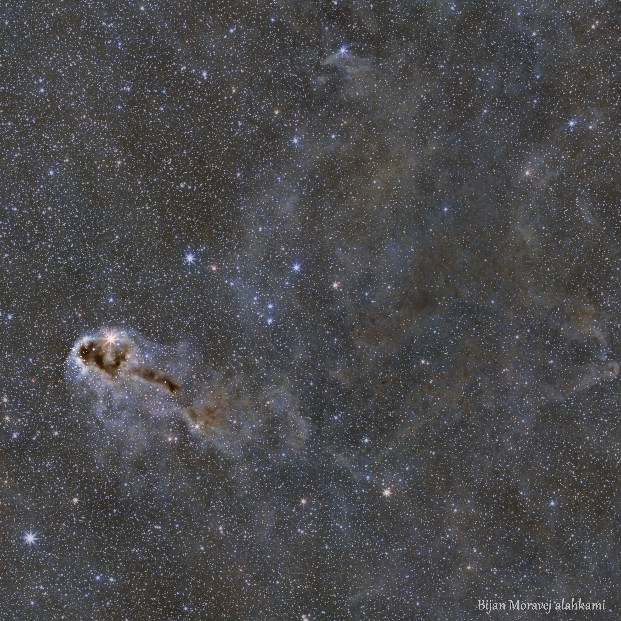 LDN 1251 - Lynds Dark Nebula ( Anglefish nebula )