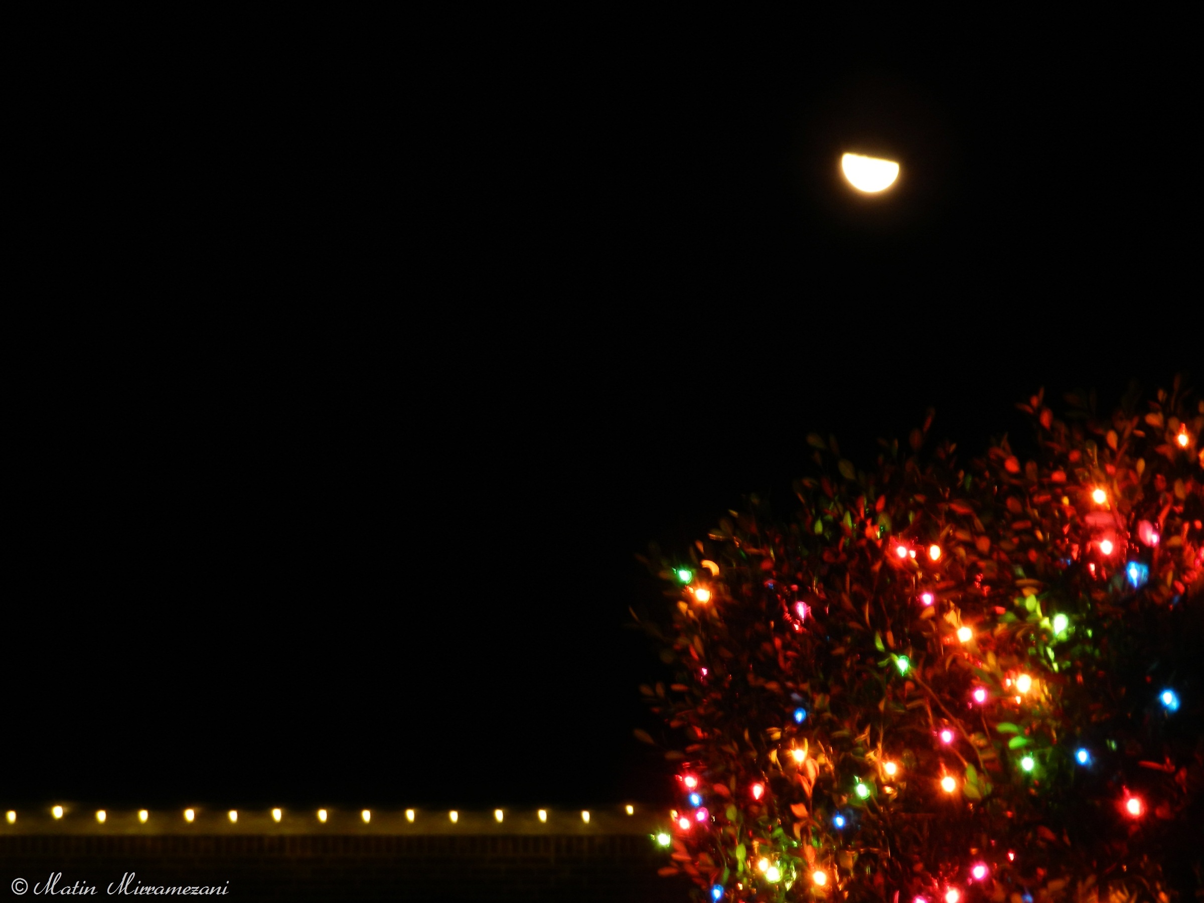 Christmas moon
