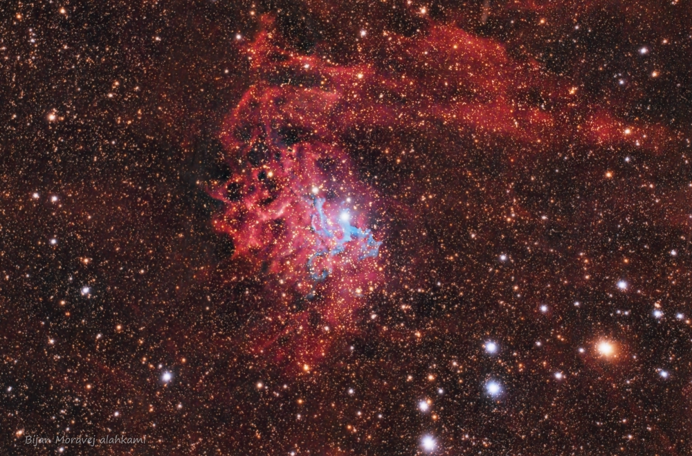 Flaming Star Nebula سحابی ستاره شعله ور