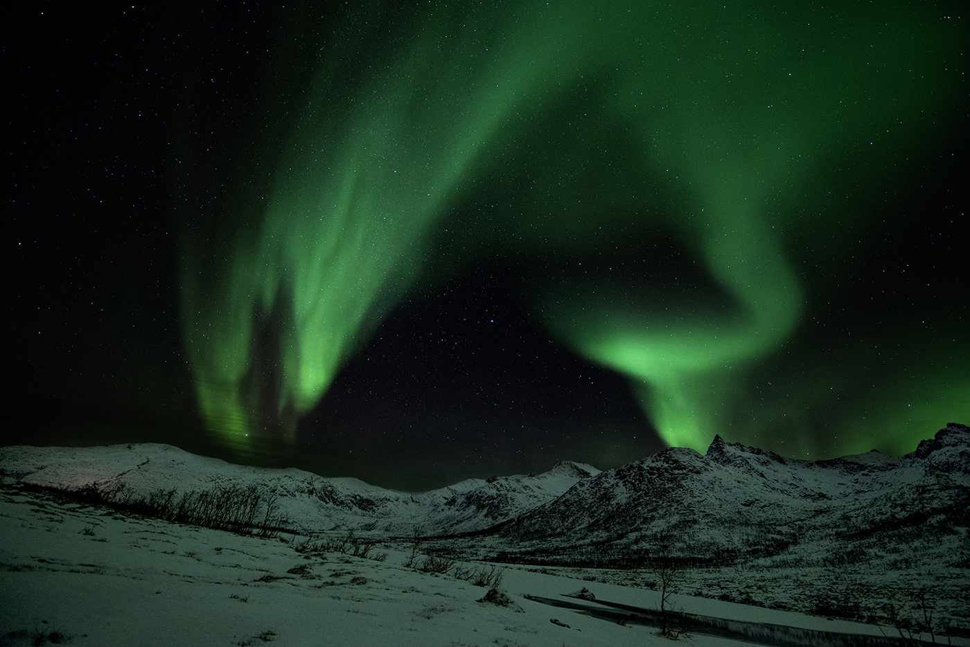 Aurora Light Eagle-Tromso