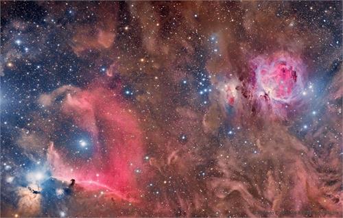 Horsehead and Orion Nebulas